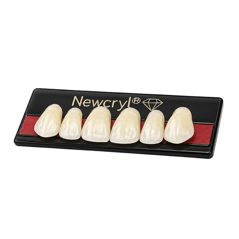 Newcryl Two-Layer Acrylic Resin Denture Teeth, Upper Posterior, Mould 30L, Shade A0, 8/Card