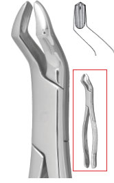Nordent #53R upper 1st and 2nd molar-right with bayonet pattern surgical Forceps