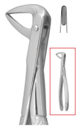 Nordent #74 (serrated) lower roots english pattern surgical forceps
