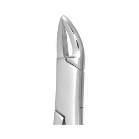 Nordent #150 Upper Universal Surgical Forceps