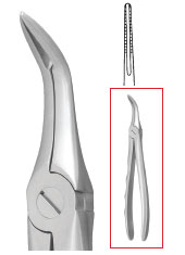 Nordent #46L Lower Roots Surgical Forceps with Extra Narrow Serrated Blades