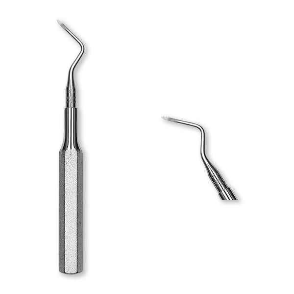 Nordent Heidbrink #3 Right Single End Root Tip Elevator, Regular Tip, Hardened Stainless Steel