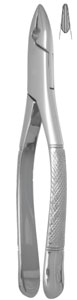 Nordent #1 standard upper incisor and cuspid surgical Forceps