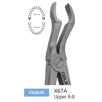 Osung X67A Extraction Forcep Upper 8-8 for adults. Smaller pattern than Hu-Friedy