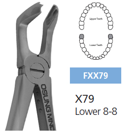 Osung X79 Extraction Forcep Lower 8-8 for adults. Smaller pattern than Hu-Friedy