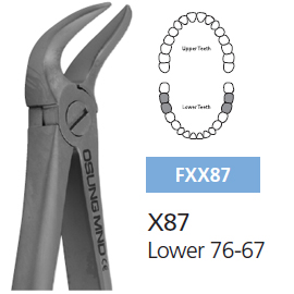 Osung X87 Extraction Forcep Lower 76-67 for adults. Smaller pattern than Hu-Friedy