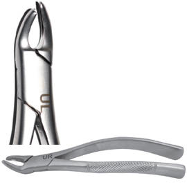 Osung #UL lingual short extracting forcep, designed for a premolar, making lingual part shorter