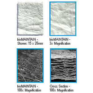 bioMAINTAIN Collagen Bovine Membrane, 30 x 40mm, membranes are made from highly purified Type 1