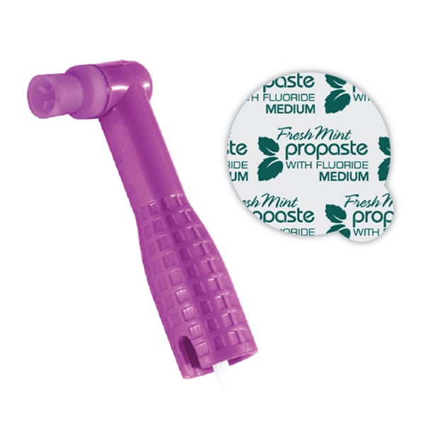 ProAngle Plus Prophy Paste Combo Prophy Angle with Firm Purple Cup