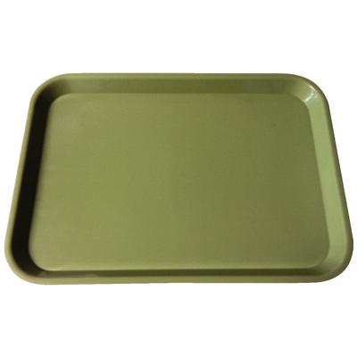 Plasdent Set-up Tray Flat Size B (Ritter) - Green, Plastic 13-3/8" x 9-5/8" x 7/8"