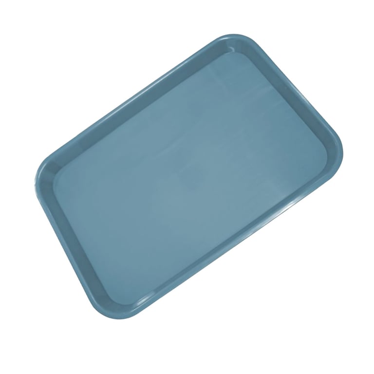 Plasdent 13 1/2" x 9 5/8" x 7/8" Set-Up / Flat Tray, Size B Standard, Blue, 1/Pk. Polypropylene
