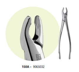 Premier #150A Maxillary Extracting Forceps, for Upper Incisors, Canines and Premolars