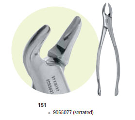 Premier #151 Mandibular Extraction Forceps, Serrated, for Lower Roots, Incisors, Canines