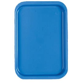 Premium Plus Flat Tray, Size F (Mini) in Assorted Colors, 9 5/8" x 6 5/8" x 7/8", Autoclavable