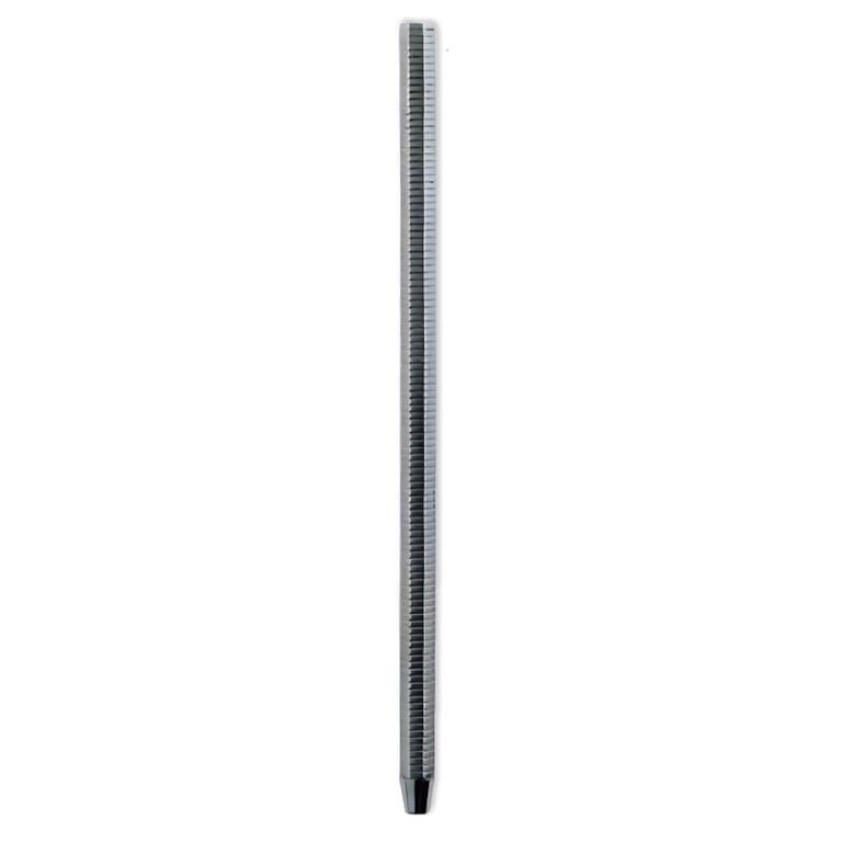 Premium Plus Mouth Mirror Octogonal Handle, Cone Socket, 1/Pk