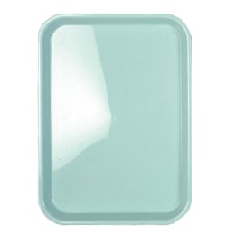 Premium Plus Flat Standard B Tray 13 1/2" X 9 5/8" X 7/8", Autoclavable, assorted colors, box of 5