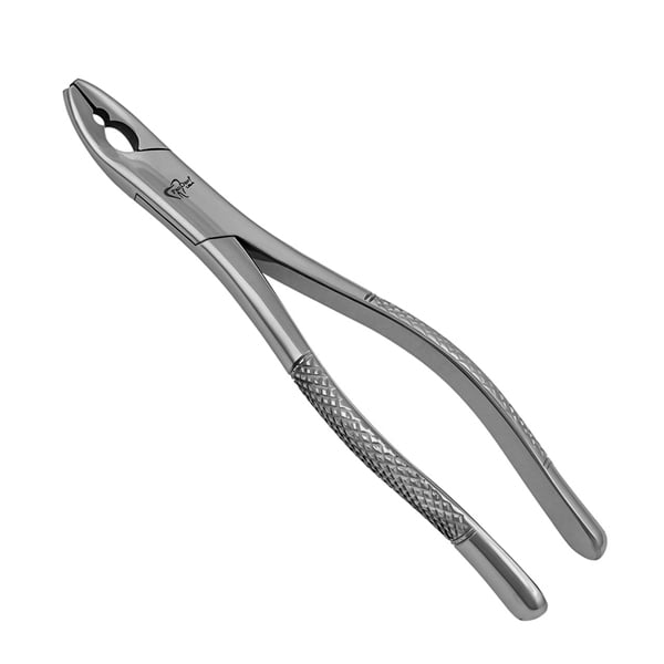 ProDent USA 150AS Serrated Universal Upper Extracting Forceps Net32