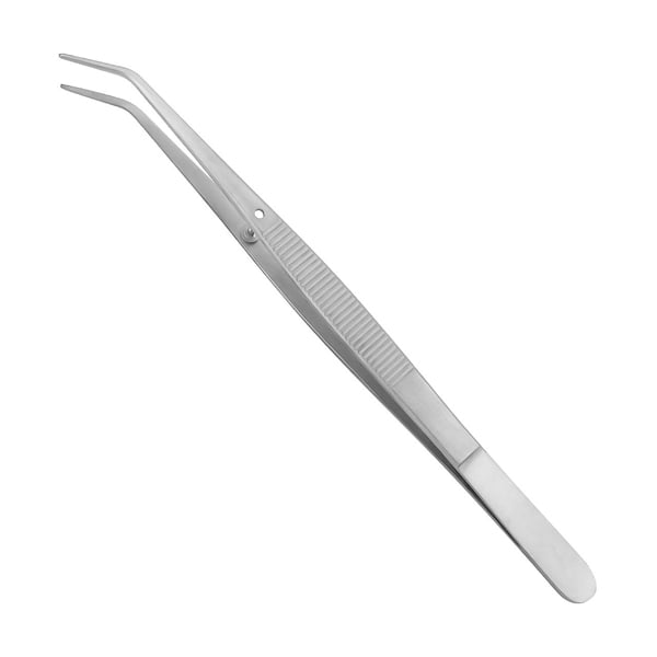 ProDent USA 6" College Pliers, Smooth, Single Plier