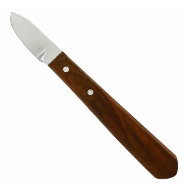 ProDent USA #6R Sharp Edged Plaster Knife 1/Pk. Stainless steel blade and flat, wooden handle best
