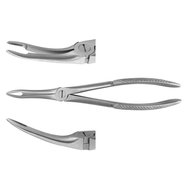 thumbnail image 2 of Precise Canada Dental Extracting Forceps #286 – Surgical Grade, Made In Pakistan 2 of 3
