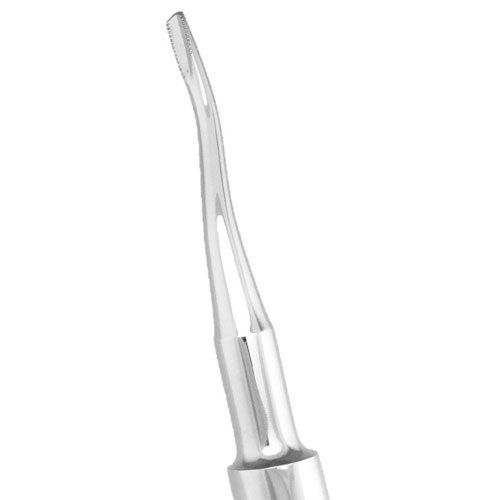 ProDent USA #77 Serrated Elevator