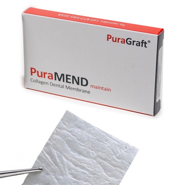 PuraMEND maintain Collagen Bovine Membrane 30 x 40 mm, 1/Box. Used for healing and regeneration