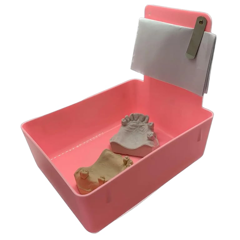 RMH3 Dental Work Pan with Clip Holder, 7" x 5" x 2-1/2", Pink, 12/Box