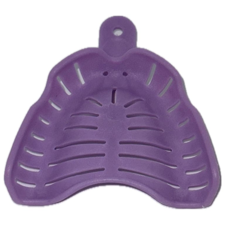RMH3 Dental Disposable Anodontia #1 Upper Large Perforated Impression Trays, Purple, 12/Pk