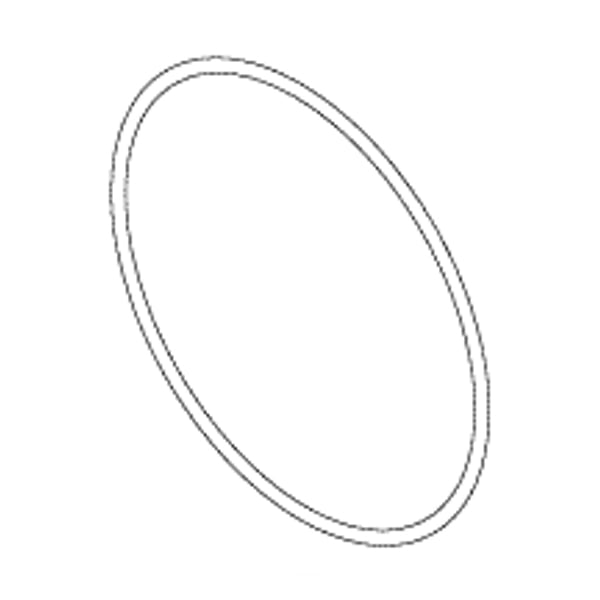 RPI Door Gasket, Teflon Encapsulated for Spectroline, S.S. White 750 Models. OEM Part #P77117-111