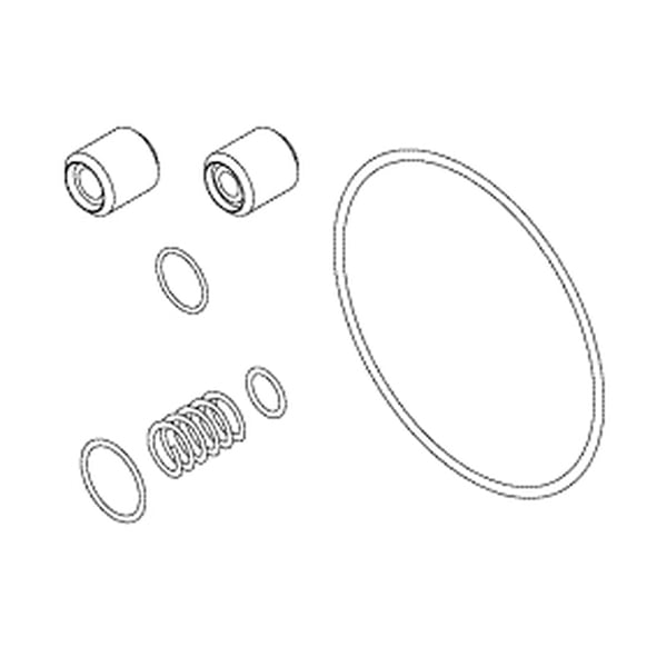 RPI Preventive Maintenance Parts Kit for Steris System 1/1E. Kit Includes: Check Valve (CK-1)