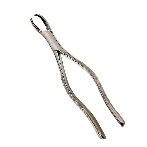 SHAFQAT #23 Cowhorn Surgical Forceps, lower 1st and 2nd molar universal