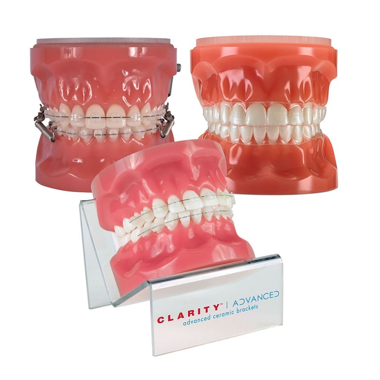 Victory Series Low Profile Bracket Typodont, MBT, Rx, 1/Pk. High-quality practice enhancement