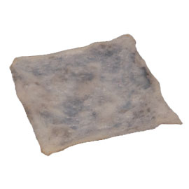 SteriGraft Pericardium 20 x 30 mm (+/- 0.5 mm). Preservation Method: Lyophilized (Freeze dried)