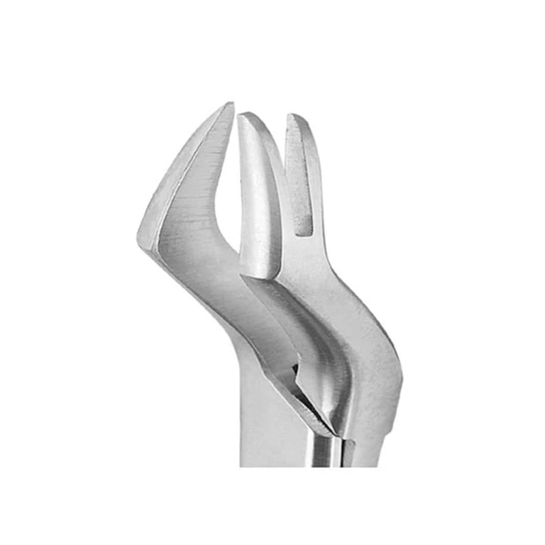 Pro Series Stainless Steel #88R & #88L Universal Extracting Forceps Set ...