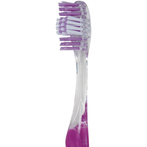 SmartSmile Adult Toothbrush Soft, Assorted Colors 72/Pk. Transparent non-slip grip handles