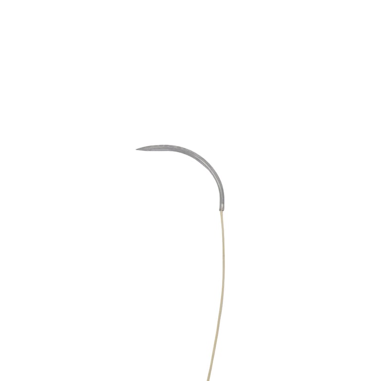 Valdent USA 4/0, 18" Plain Gut Suture with C-6 Needle, 12/Pk