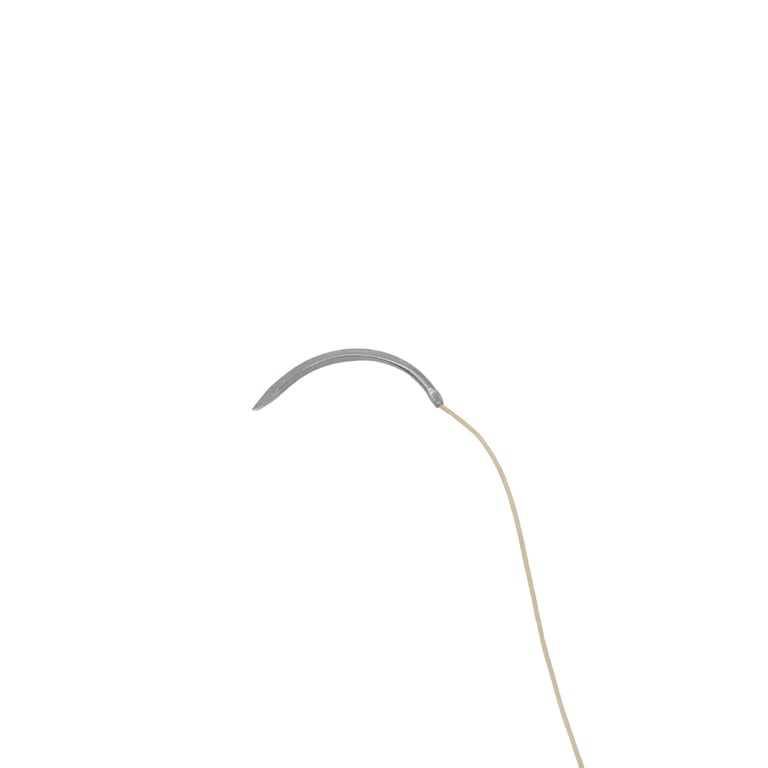 Valdent USA 3/0, 18" Plain Gut Suture with C-6 reverse-cutting 19mm needle, 12/Pk