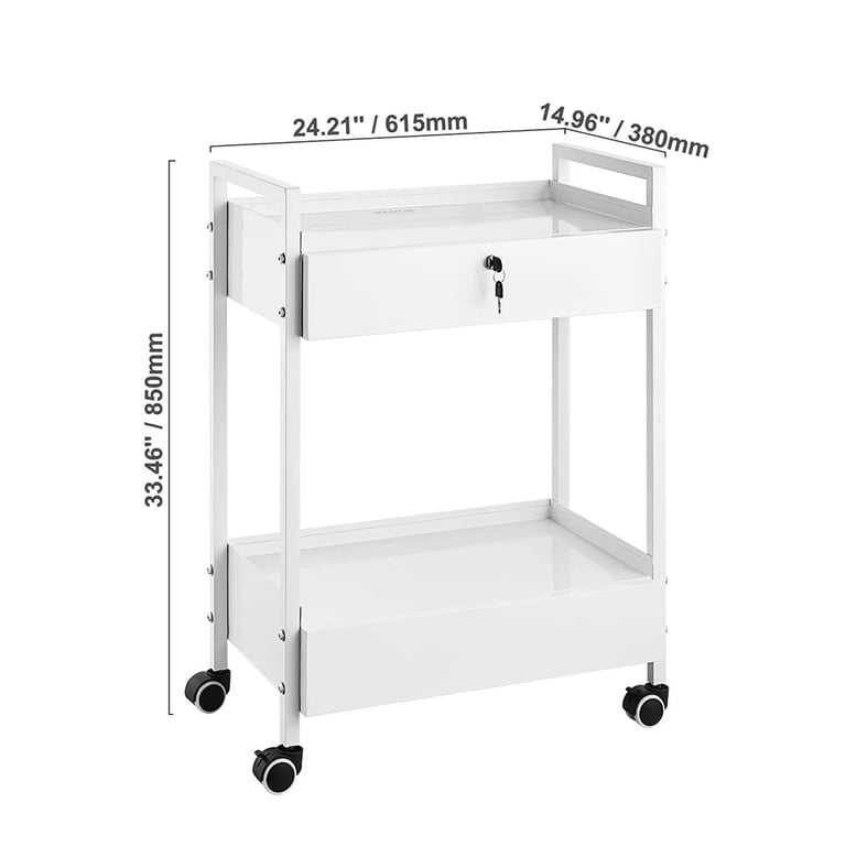Vevor Stainless Steel Medical Utility Cart, 2-Tie
