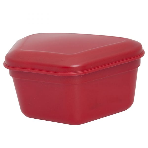 Zirc Red Plastic Denture Box with Hinged Lid, 4-3/8" x 3-3/8" x 2", Package of 12