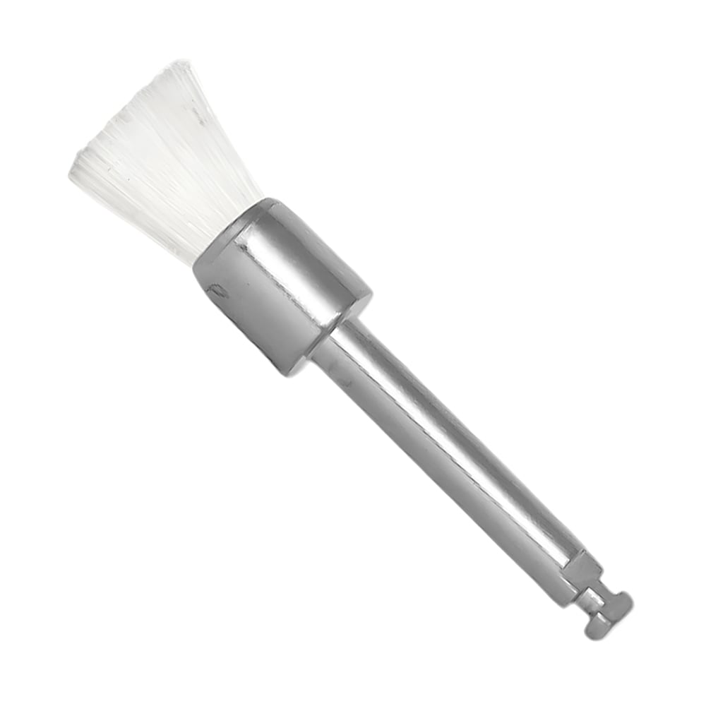 Shop Prophy brushes