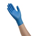 Esteem Nitrile Exam Gloves, Large, Powder Free, N