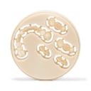 Portux CAD/CAM Multi-Layer PMMA Disc, 98.5mm x 25