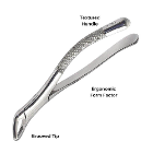 Artman Instruments #151 Extraction Forceps, Upper