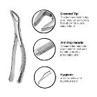 Artman Instruments #151 Extraction Forceps, Upper