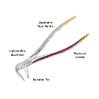 Artman Instruments #P-2 Stainless Steel Atraumati