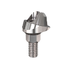 Bhi Implants 17° Angular Multi Unit Titanium Abut