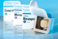 Protemp Crown Lower Small Molar Shells Refill, Pa Protemp Crown Lower Small Molar Shells Refill, Pa