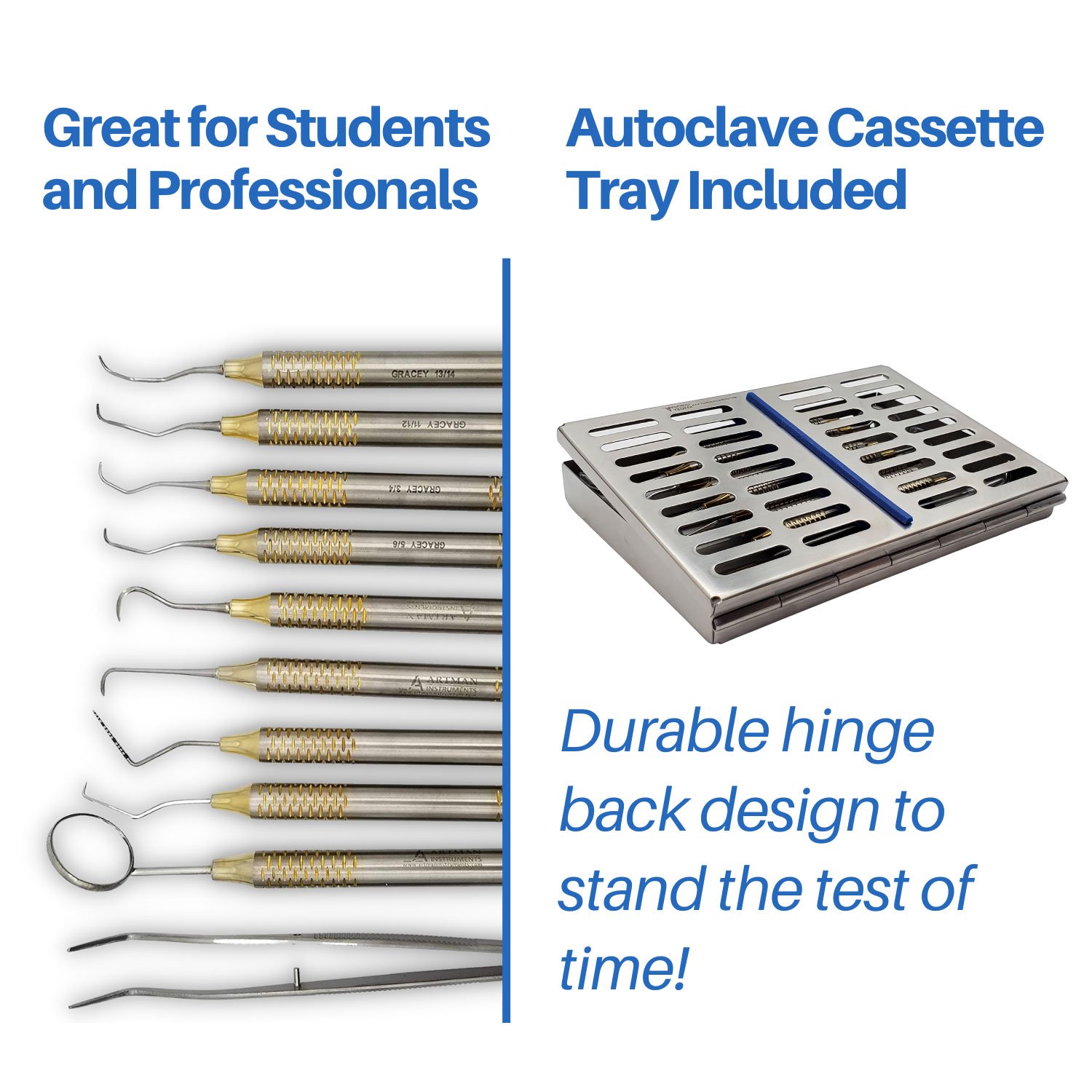 Artman Instruments Prophylaxis Professional Cleaning Set, 10/Pk ...