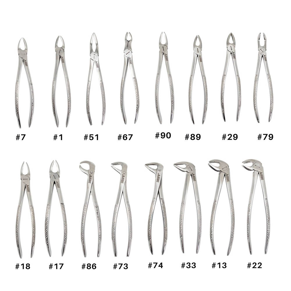 Artman Instruments Stainless Steel Surgical Extraction Forceps, 16 ...