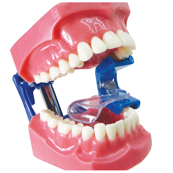 Bite Buddy Tongue Tamer Large, 1 Pair: 1 Right, 1 Bite Buddy Tongue Tamer Large, 1 Pair: 1 Right, 1